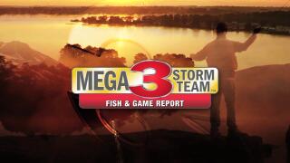 Image with missing alt attribute found on ktbs.com