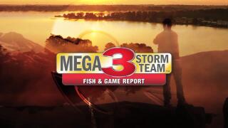 Image with missing alt attribute found on ktbs.com