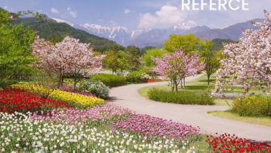 top gardens in Ahmedabad