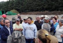 Image with missing alt attribute found on regeneracion.mx