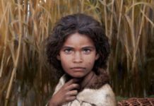 Image with missing alt attribute found on regeneracion.mx