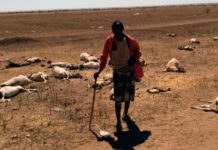 Image with missing alt attribute found on regeneracion.mx