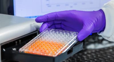 Image with missing alt attribute found on almacgroup.com