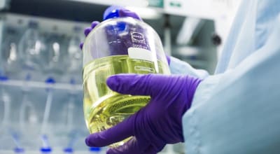 Image with missing alt attribute found on almacgroup.com