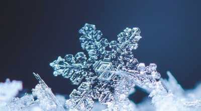 Image with missing alt attribute found on almacgroup.com