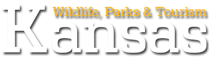 Image with missing alt attribute found on responsivevoice.org