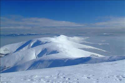 Image with missing alt attribute found on robinzon.ks.ua