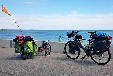 Rower tr&oacute;jkołowy