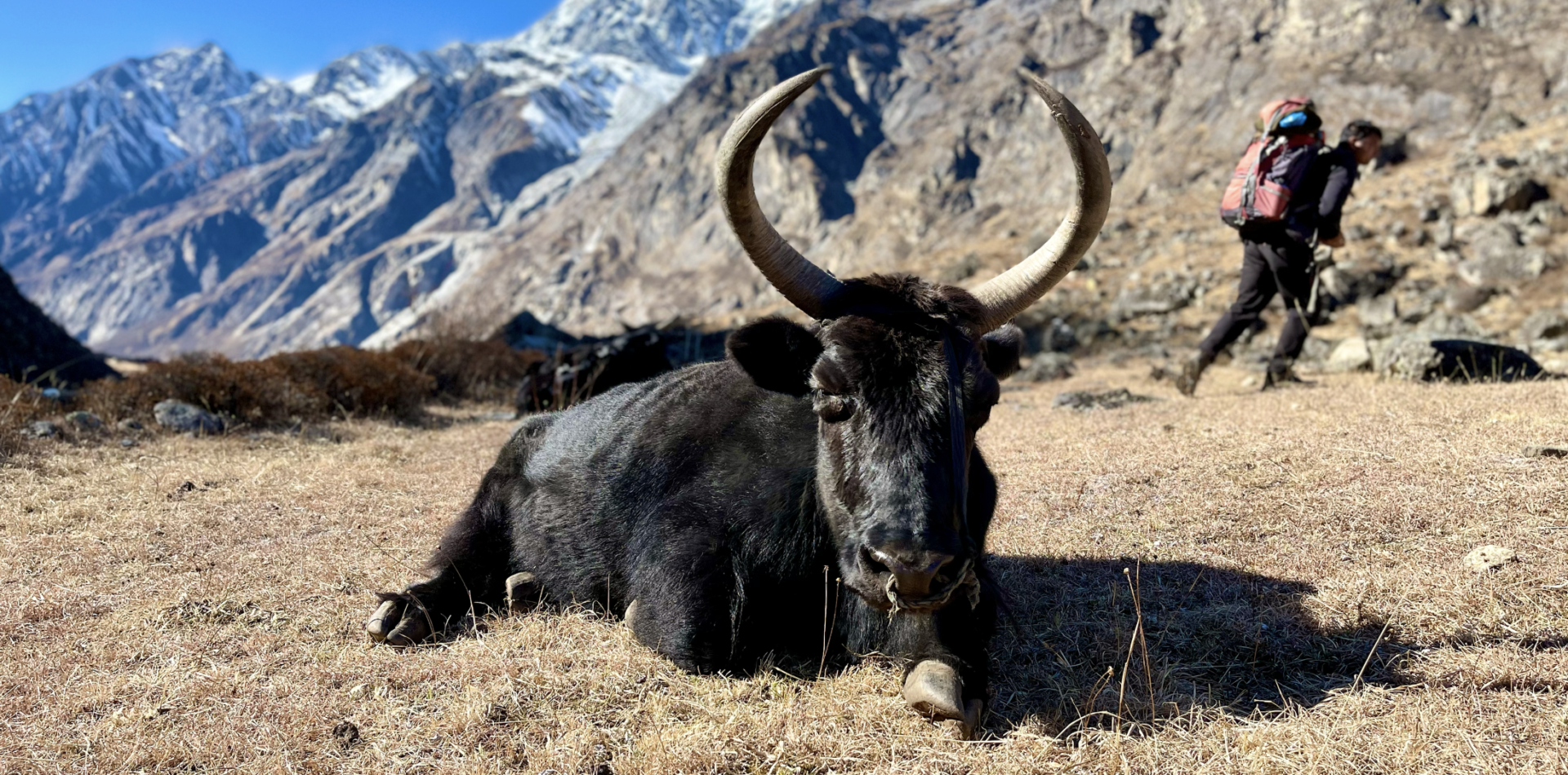 Image with missing alt attribute found on rptreks.com