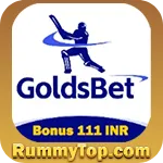 Image with missing alt attribute found on rummytop.com