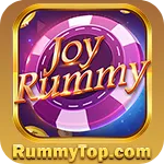 Image with missing alt attribute found on rummytop.com