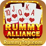 Image with missing alt attribute found on rummytop.com