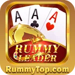 Image with missing alt attribute found on rummytop.com