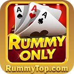 Image with missing alt attribute found on rummytop.com