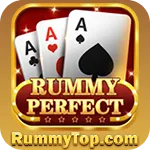 Image with missing alt attribute found on rummytop.com