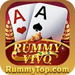 Image with missing alt attribute found on rummytop.com