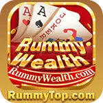 Image with missing alt attribute found on rummytop.com