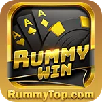 Image with missing alt attribute found on rummytop.com