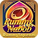 Image with missing alt attribute found on rummytop.com