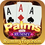 Image with missing alt attribute found on rummytop.com