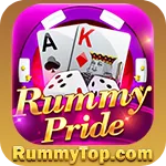 Image with missing alt attribute found on rummytop.com