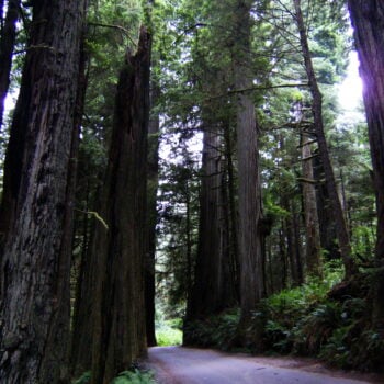 Image with missing alt attribute found on rvlife.com