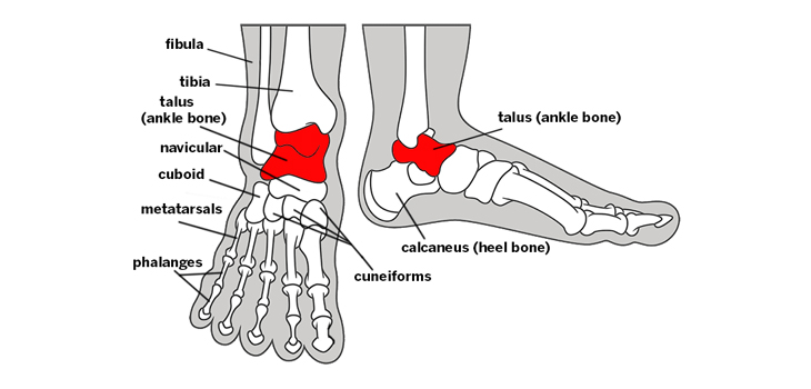 Image with missing alt attribute found on ryortho.com