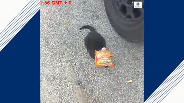 Image with missing alt attribute found on abcnews.com