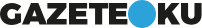 Gazete oku