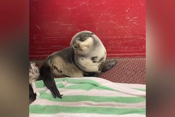 Image with missing alt attribute found on stamfordadvocate.com