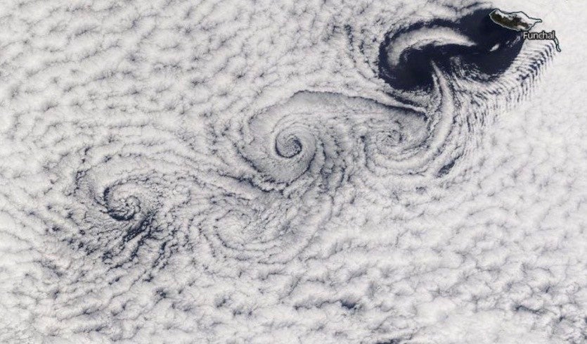 Whirls, Curls, and Little Swirls
