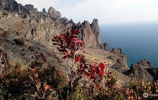 Кара-Даг (вулканический массив)