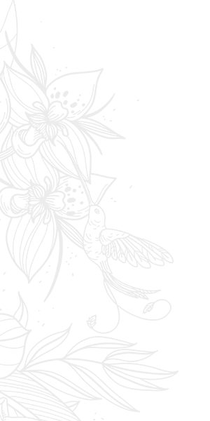 Image with missing alt attribute found on marriottvacationclub.com