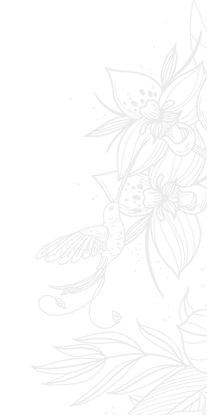 Image with missing alt attribute found on marriottvacationclub.com