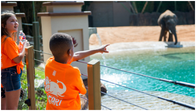 Image with missing alt attribute found on houstonzoo.org