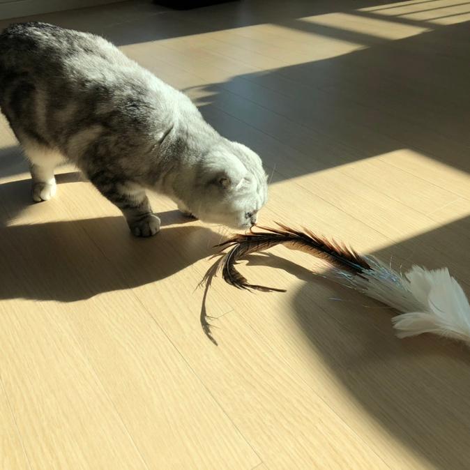 Image with missing alt attribute found on revu.net