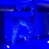 Image with missing alt attribute found on yelp.de