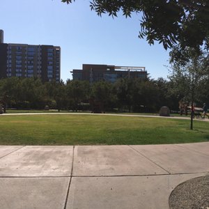 Image with missing alt attribute found on yelp.it