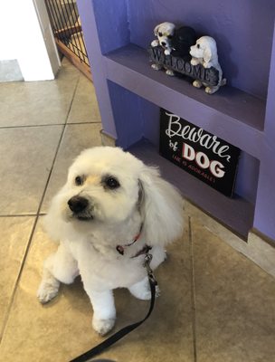 Image with missing alt attribute found on yelp.my