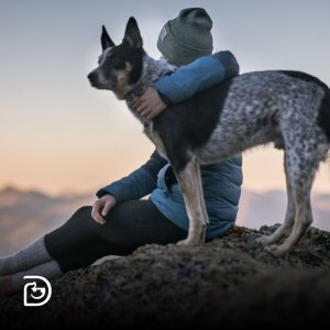 Image with missing alt attribute found on dogtopia.com