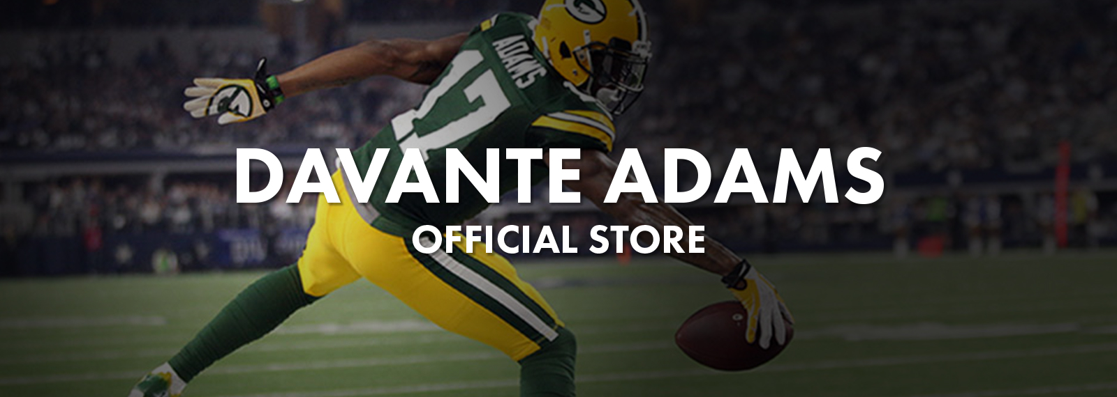 Image with missing alt attribute found on davanteadams17.com