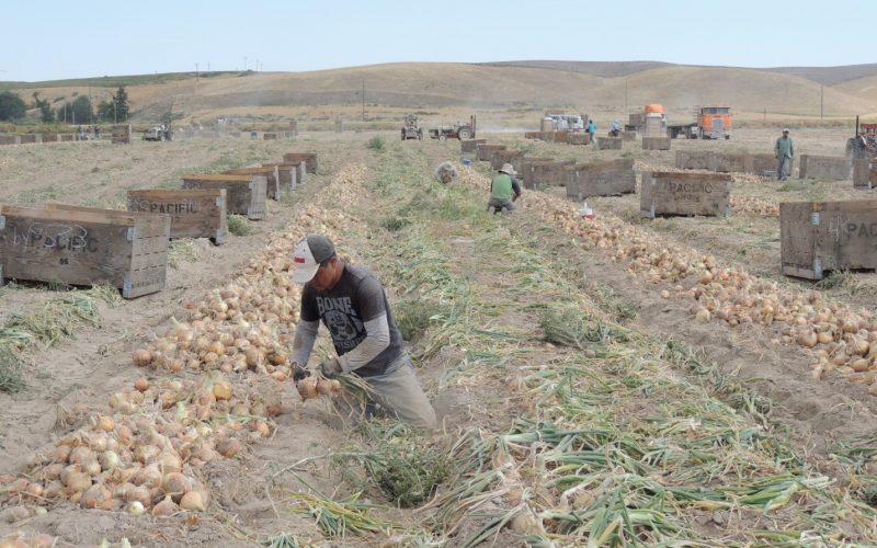 Image with missing alt attribute found on oxfamamerica.org