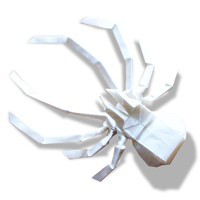 Image with missing alt attribute found on docracy.com