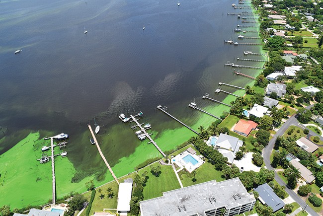 Image with missing alt attribute found on floridatrend.com