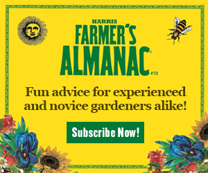 Image with missing alt attribute found on parade.com