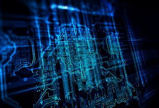 The Ghost in the Markets