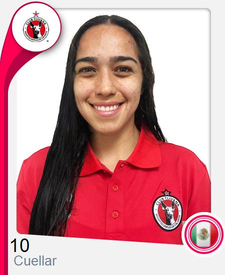 Image with missing alt attribute found on ligafemenil.mx