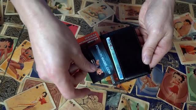 Image with missing alt attribute found on penguinmagic.com