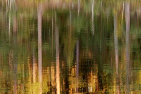 Image with missing alt attribute found on nautil.us