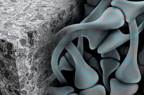 Image with missing alt attribute found on nautil.us